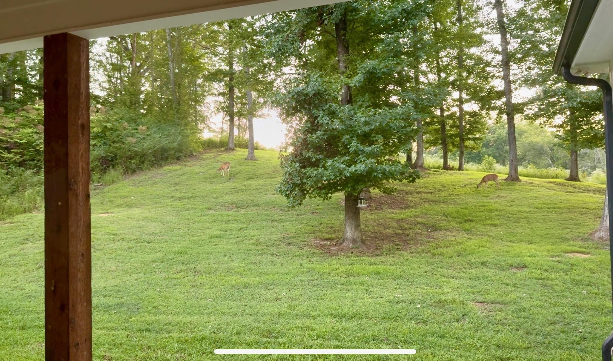 835 Edgewater Way Jasper, TN 37347 - Photo 69 of 84 IMG_4840