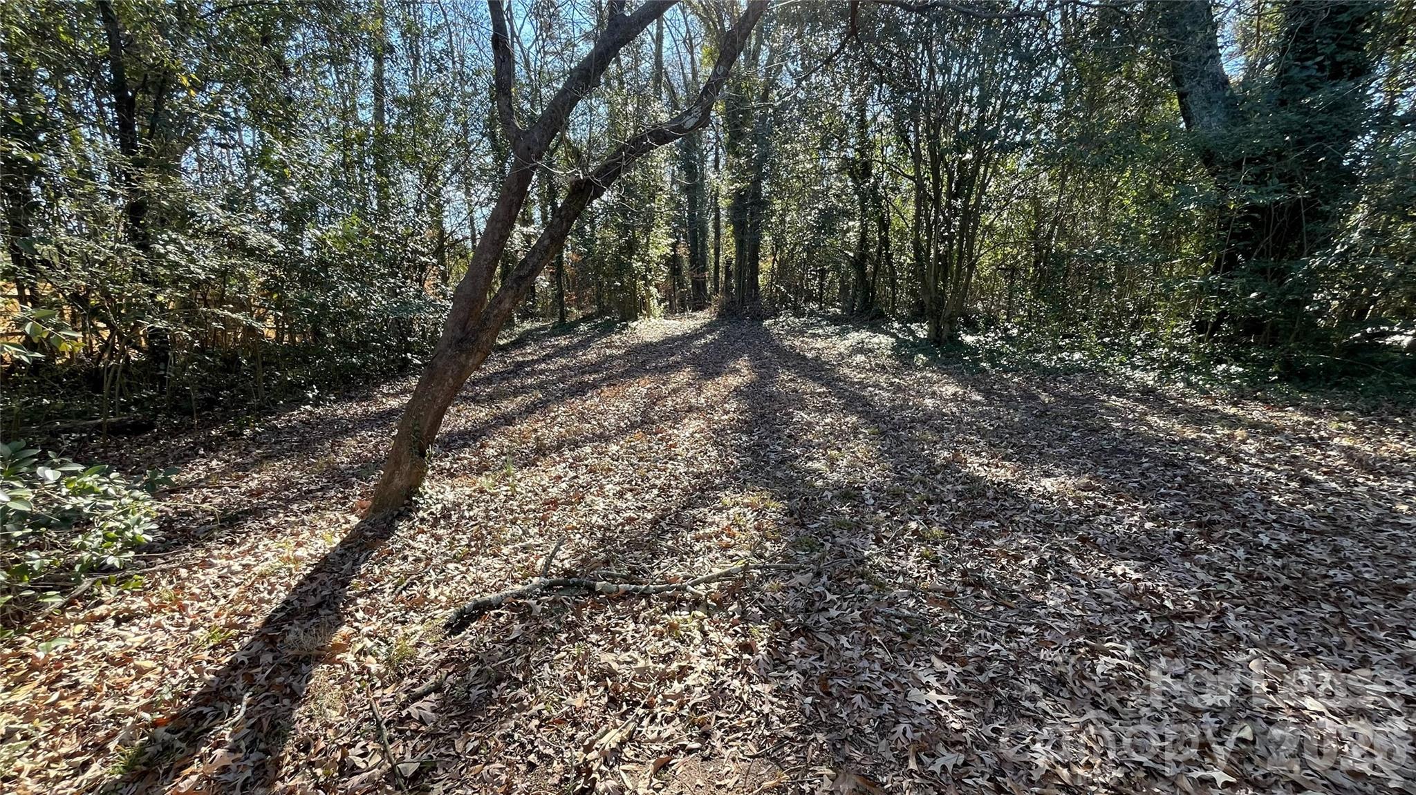 2621 Dr Carver Road Charlotte, NC 28208 - Photo 8 of 9