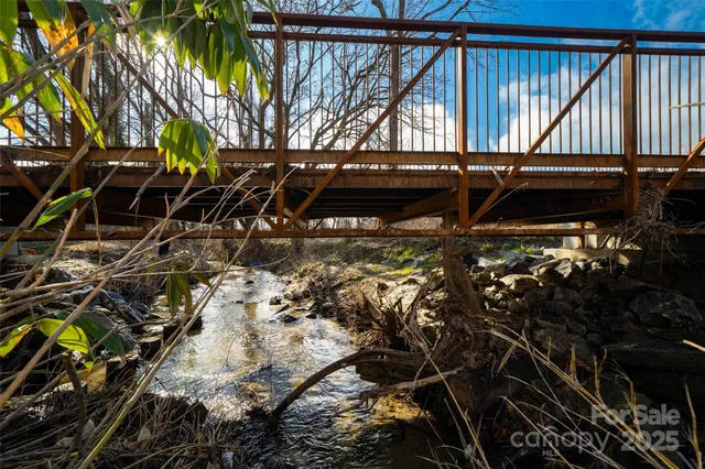 a view of a tree with an tree