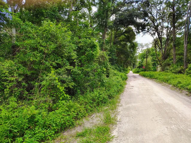 a view of a pathway both side of yard