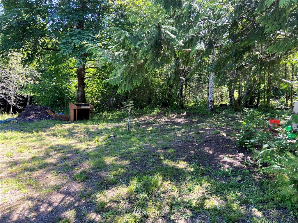 301 West Fredson Road Shelton, WA 98584 - Photo 12 of 22 Gallery Image 12