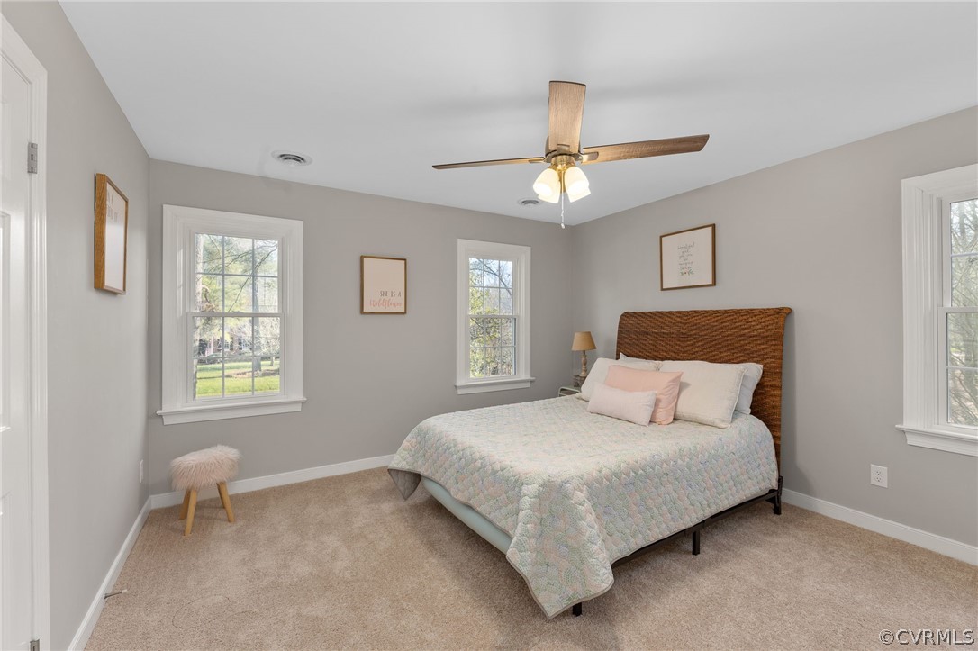 14210 Chepstow Road Midlothian, VA 23113 - Photo 32 of 50