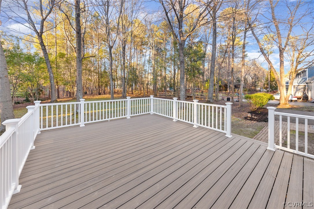 14210 Chepstow Road Midlothian, VA 23113 - Photo 45 of 50