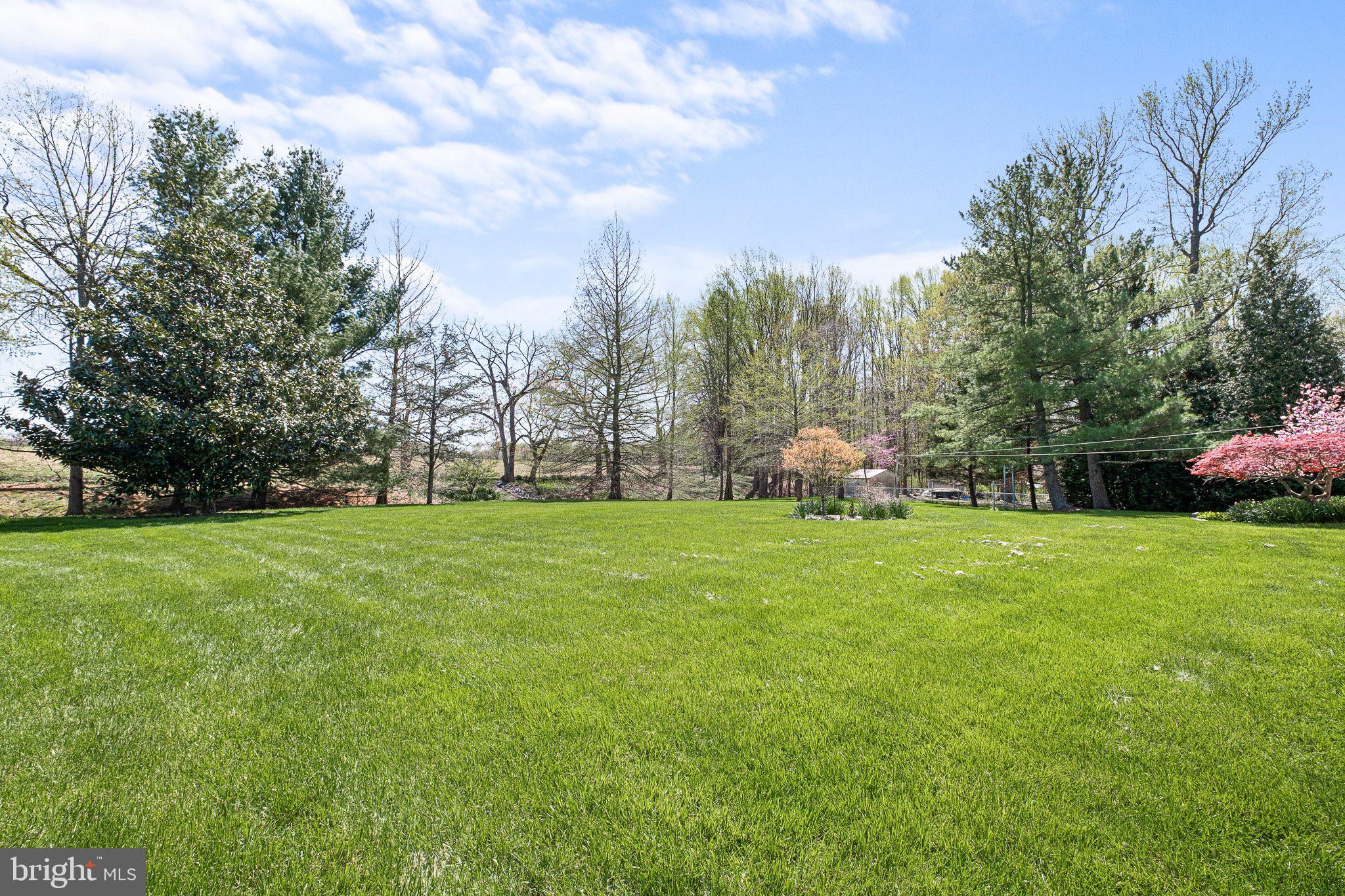 903 Clydesdale Drive Bear, DE 19701 - Photo 18 of 20 a backyard of a house with lots of green space