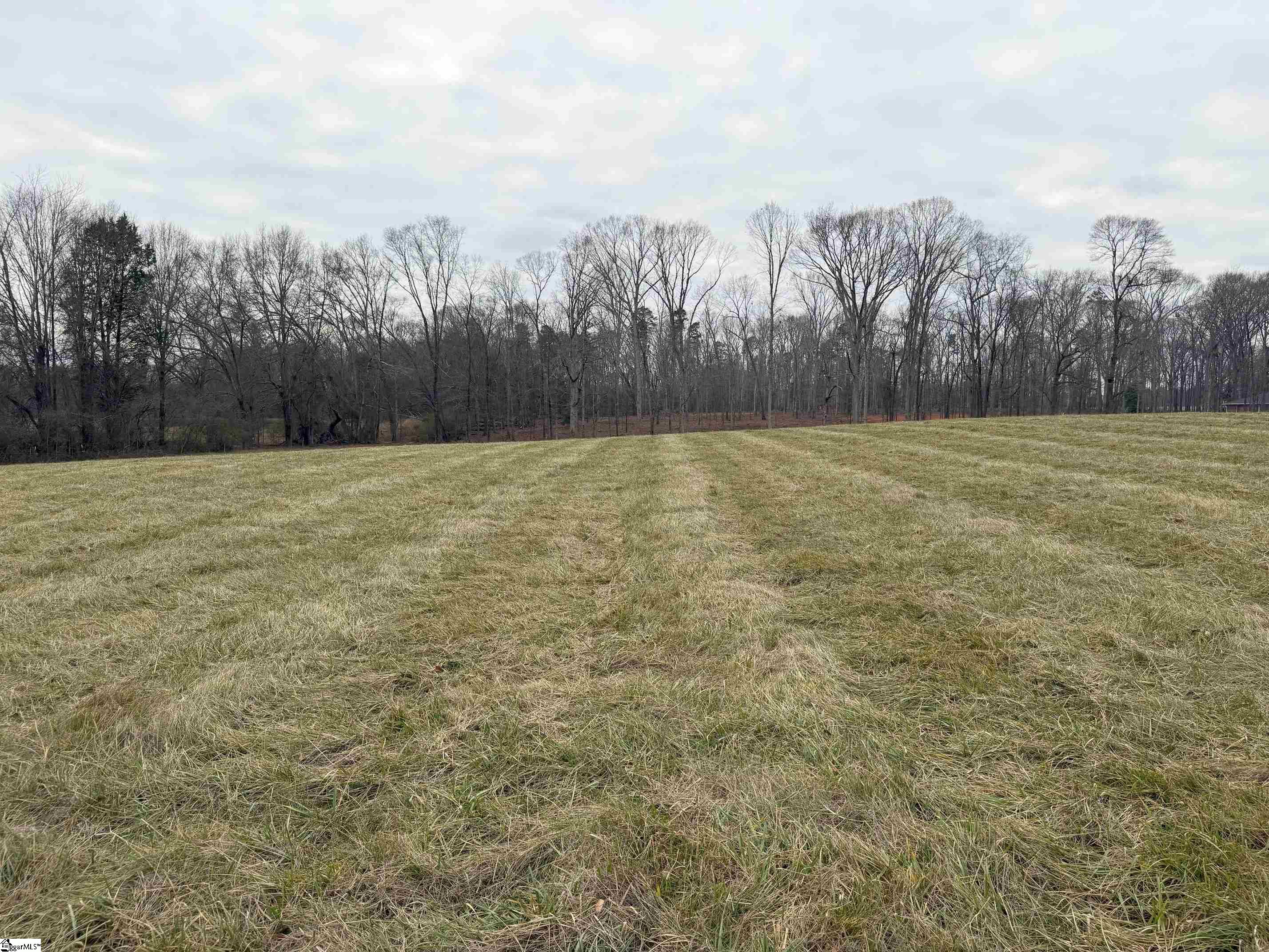 0 Berry Road Pelzer, SC 29669 - Photo 2 of 7