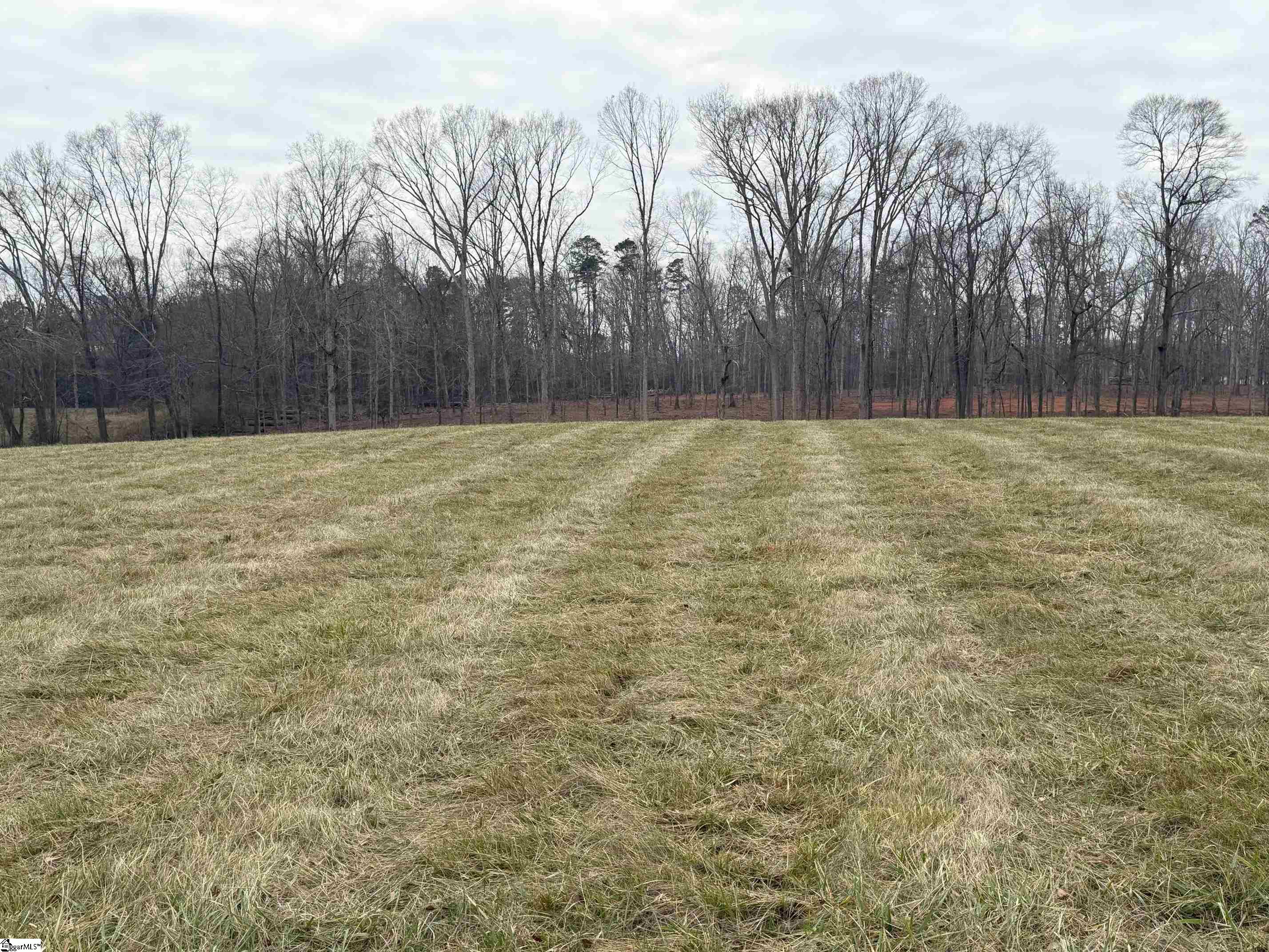 0 Berry Road Pelzer, SC 29669 - Photo 3 of 7
