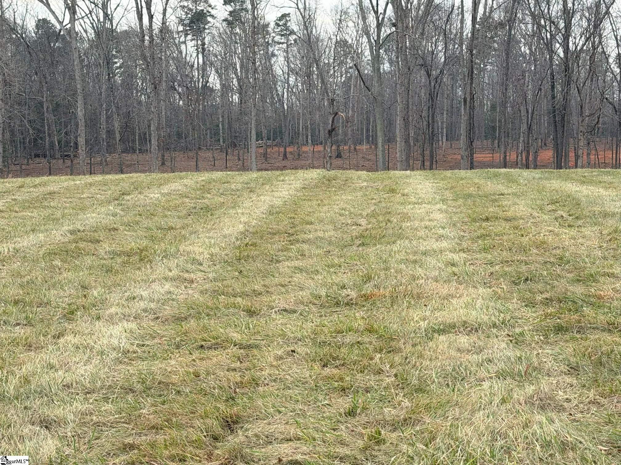 0 Berry Road Pelzer, SC 29669 - Photo 4 of 7