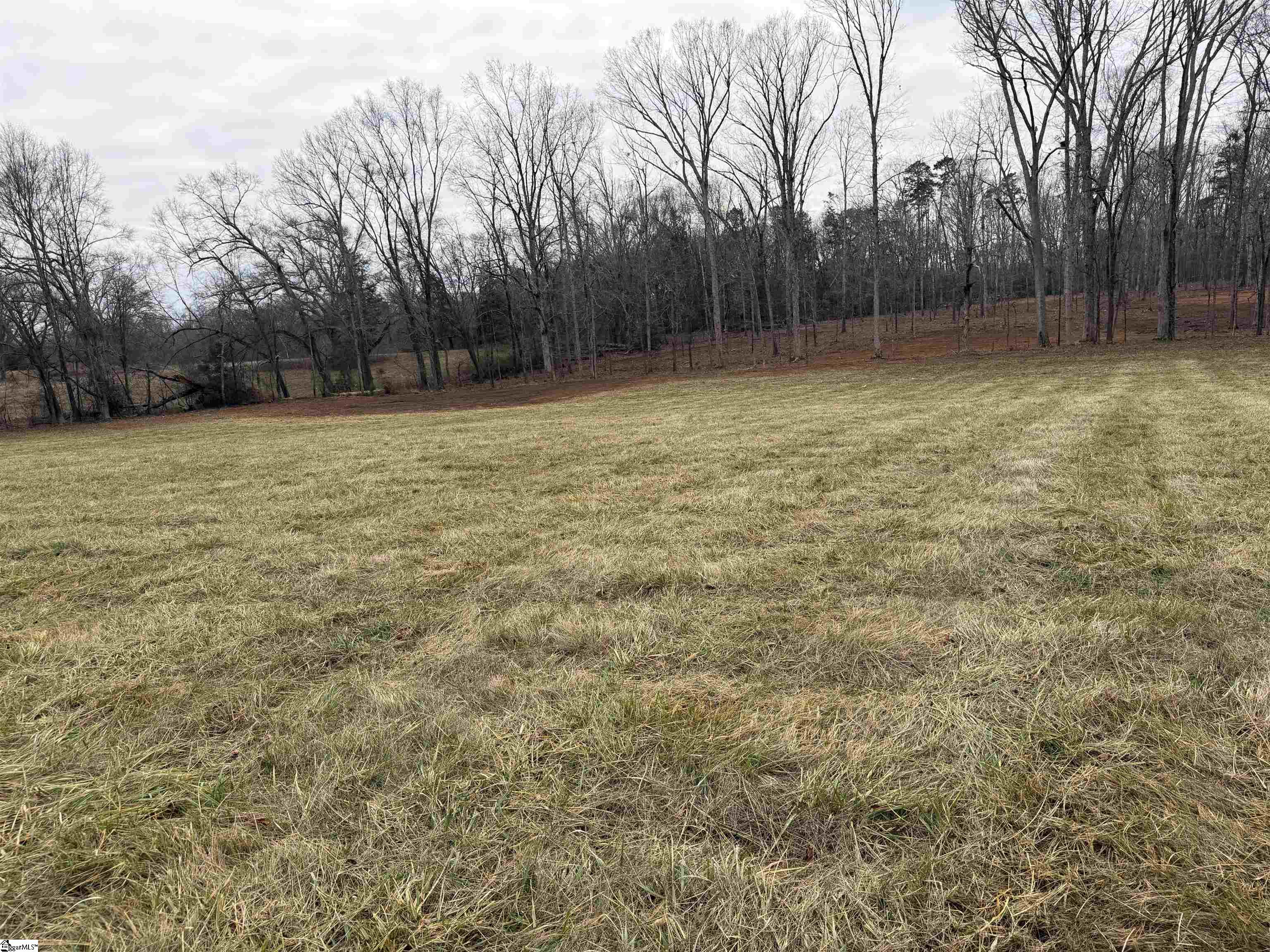 0 Berry Road Pelzer, SC 29669 - Photo 5 of 7