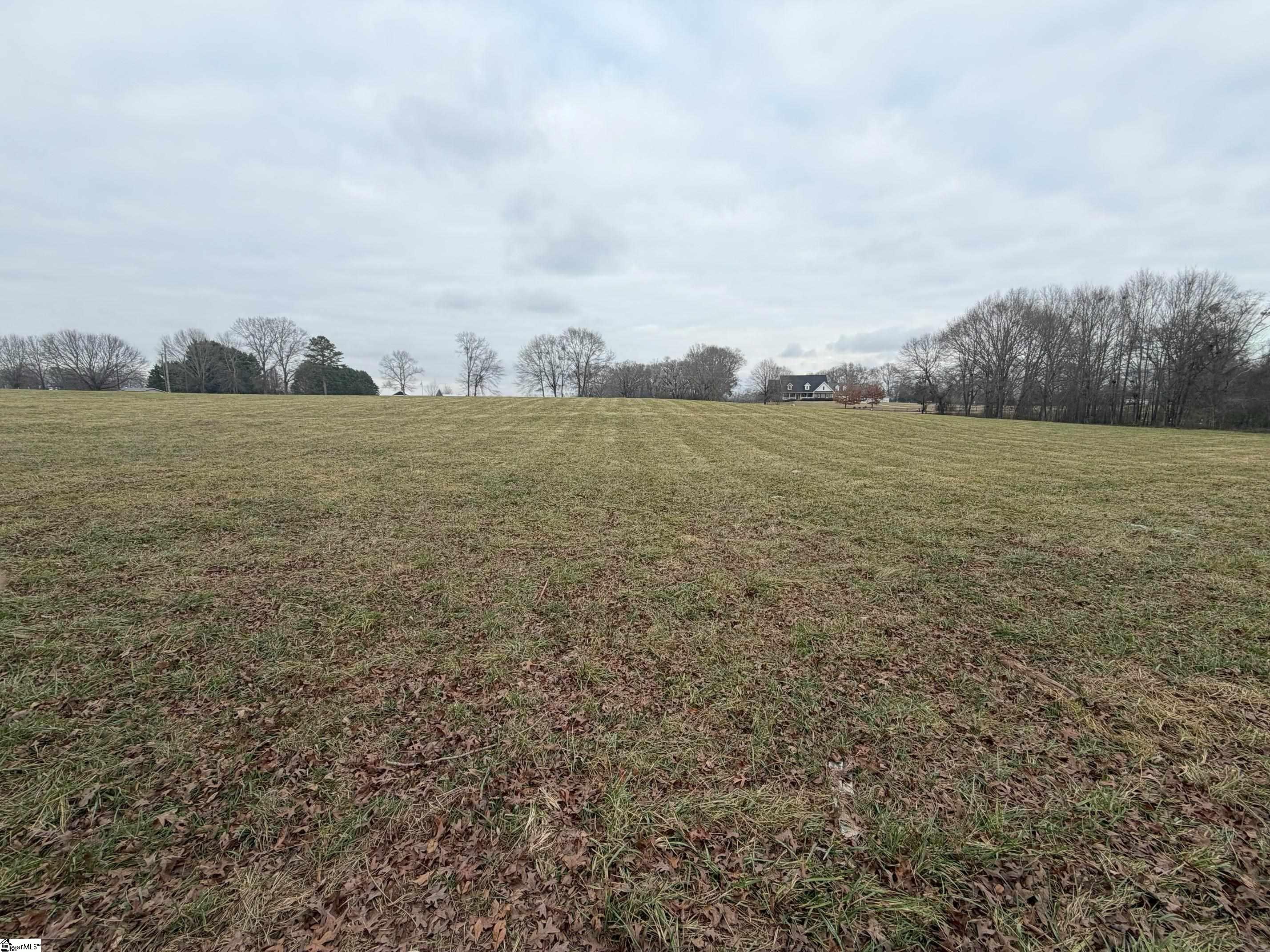 0 Berry Road Pelzer, SC 29669 - Photo 6 of 7