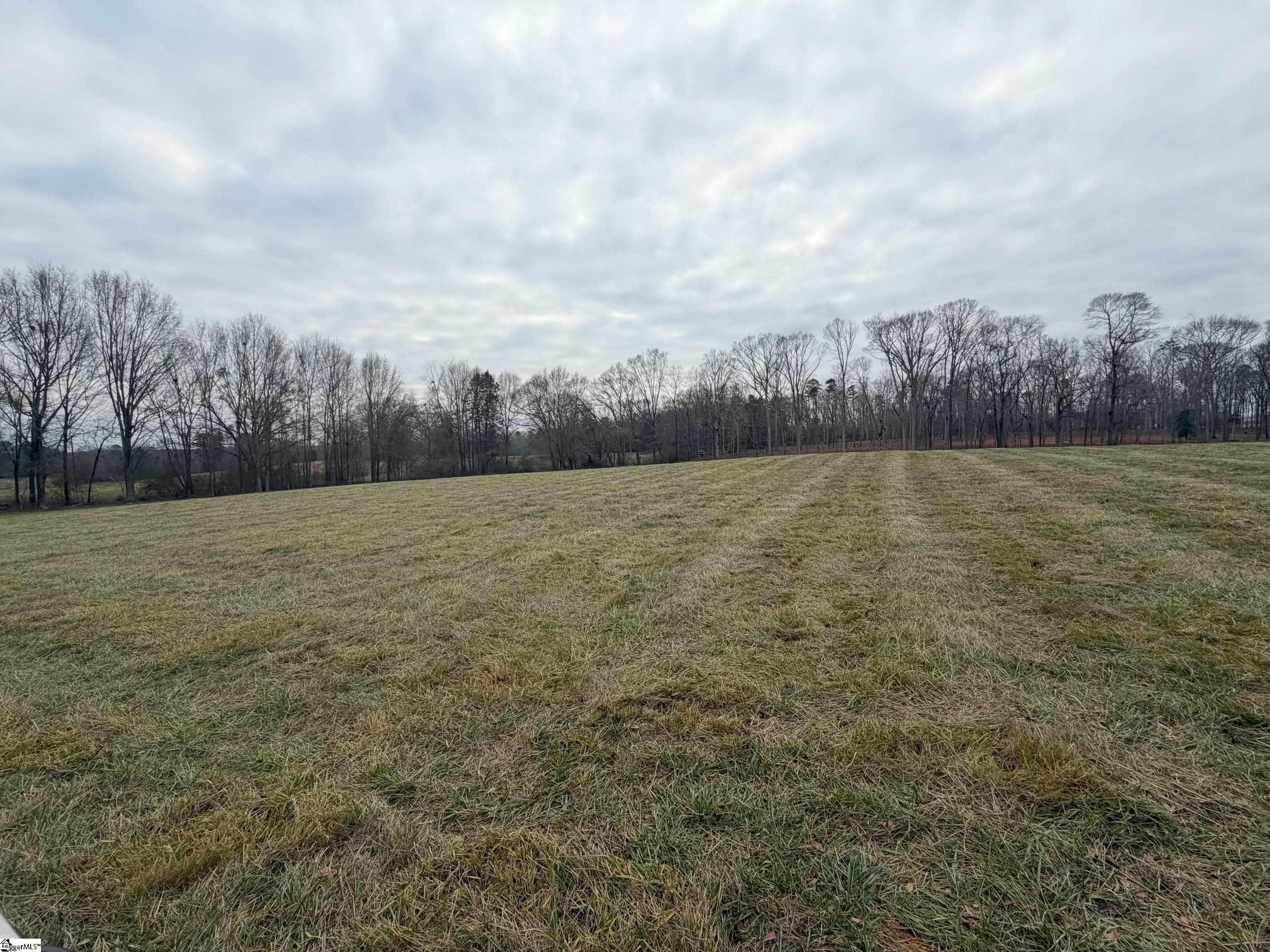 0 Berry Road Pelzer, SC 29669 - Photo 7 of 7