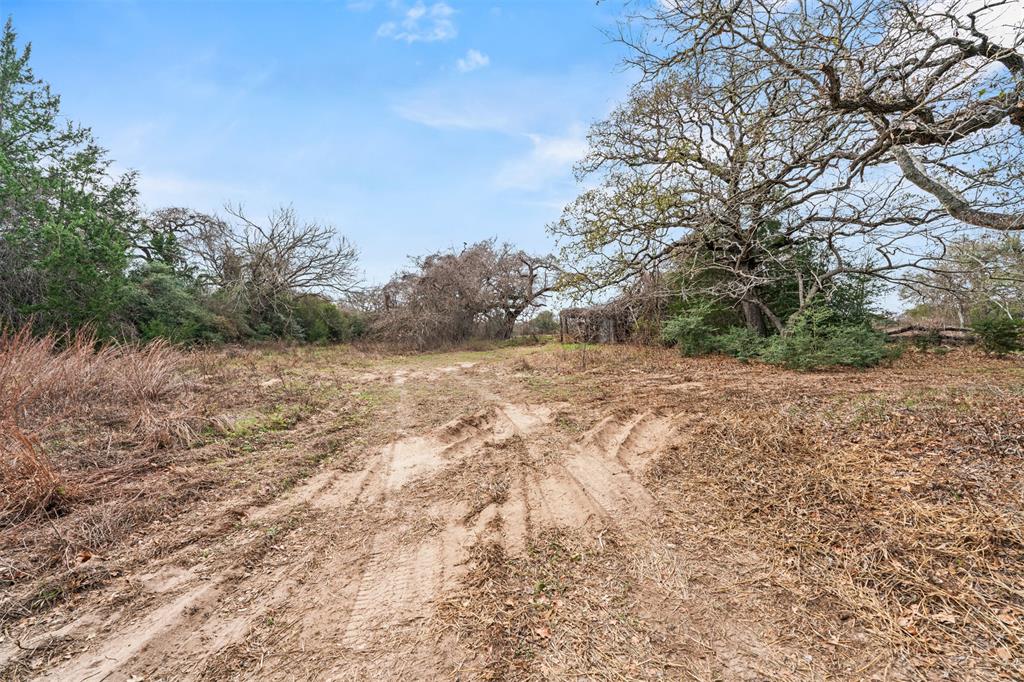11423 Highway 77 Lexington, TX 78947 - Photo 3 of 7 Expansive natural lot featuring mature trees and a dirt track