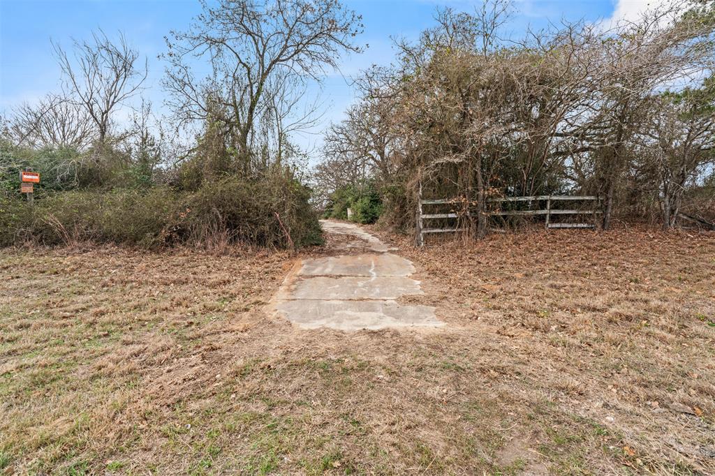 11423 Highway 77 Lexington, TX 78947 - Photo 5 of 7 Natural landscape featuring varied mature trees and an established concrete pad entryway