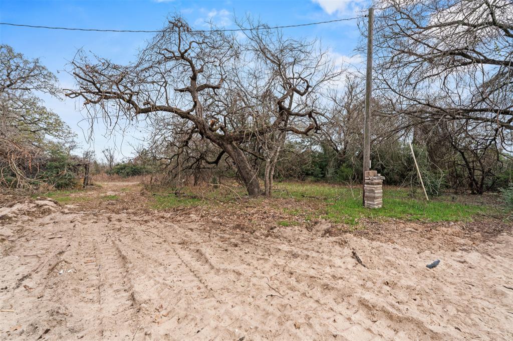 11423 Highway 77 Lexington, TX 78947 - Photo 6 of 7 Expansive parcel featuring a clear sky, mature deciduous trees, a utility pole, and a dirt path