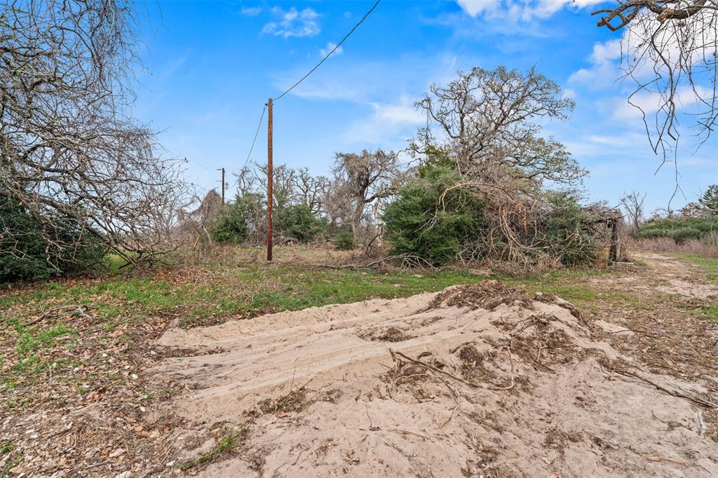11423 Highway 77 Lexington, TX 78947 - Photo 7 of 7 Cleared land featuring a prominent sand and dirt mound, scattered green groundcover, and mature trees with exposed branches
