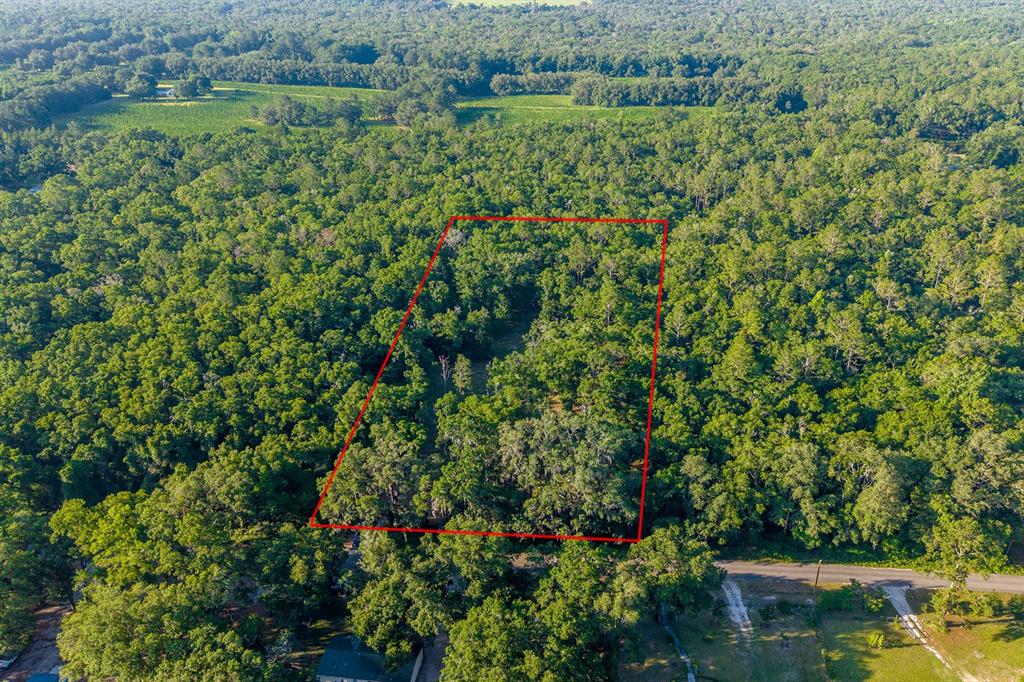 6016 Southwest 52nd Terrace Lake Butler, FL 32054 - Photo 2 of 11