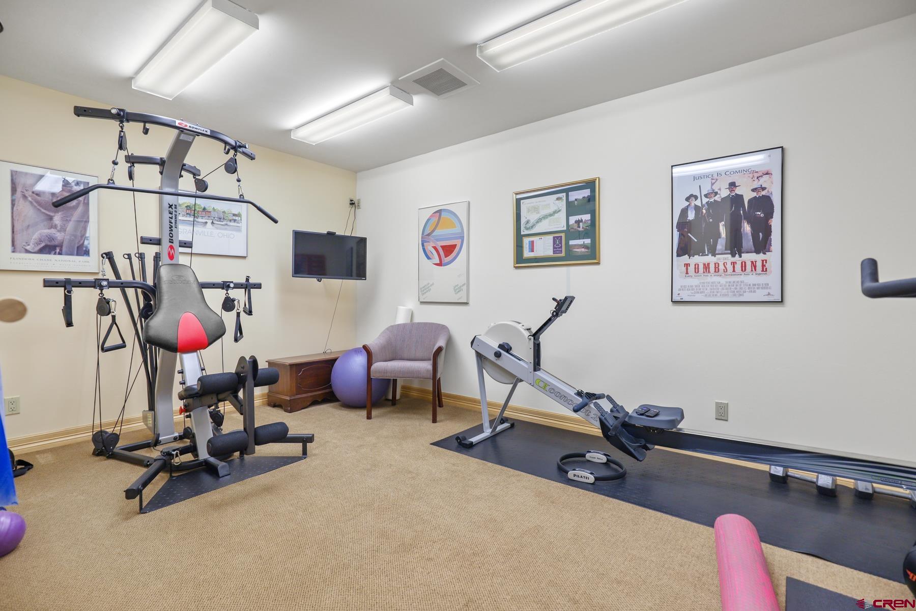 756 Horse Gulch Loop Durango, CO 81301 - Photo 20 of 35 a view of a room with gym equipment