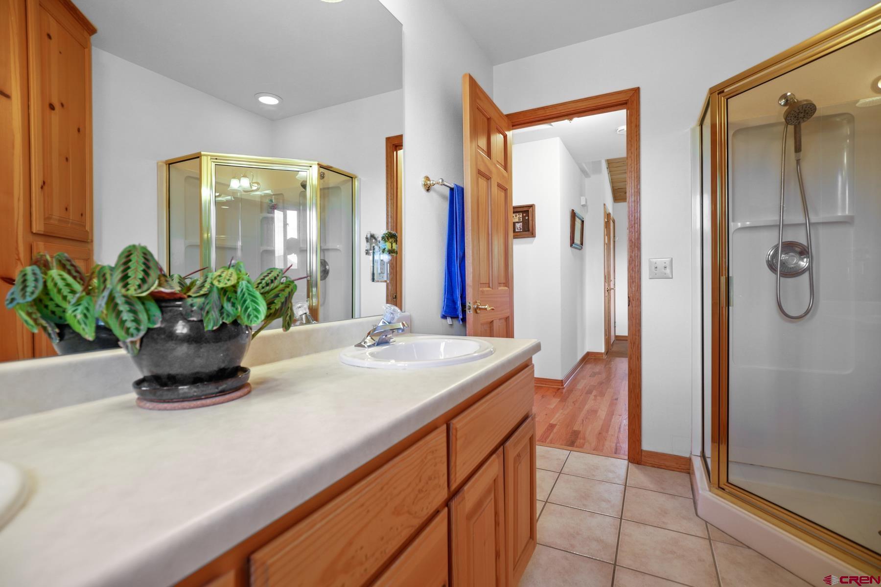756 Horse Gulch Loop Durango, CO 81301 - Photo 30 of 35 a bathroom with a granite countertop sink a mirror and a shower