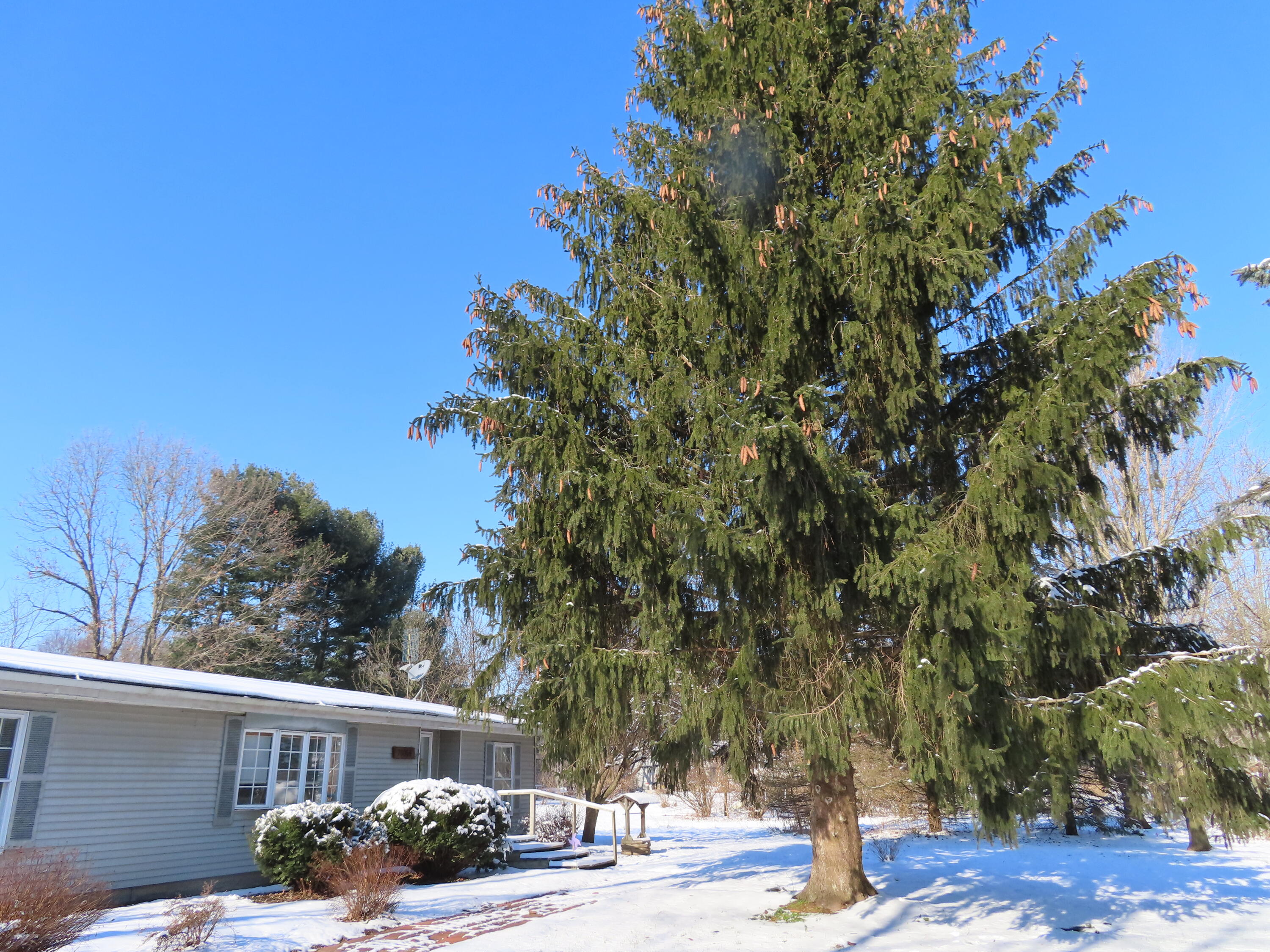 70054 Sherman Road Edwardsburg, MI 49112 - Photo 1 of 20 IMG_0111