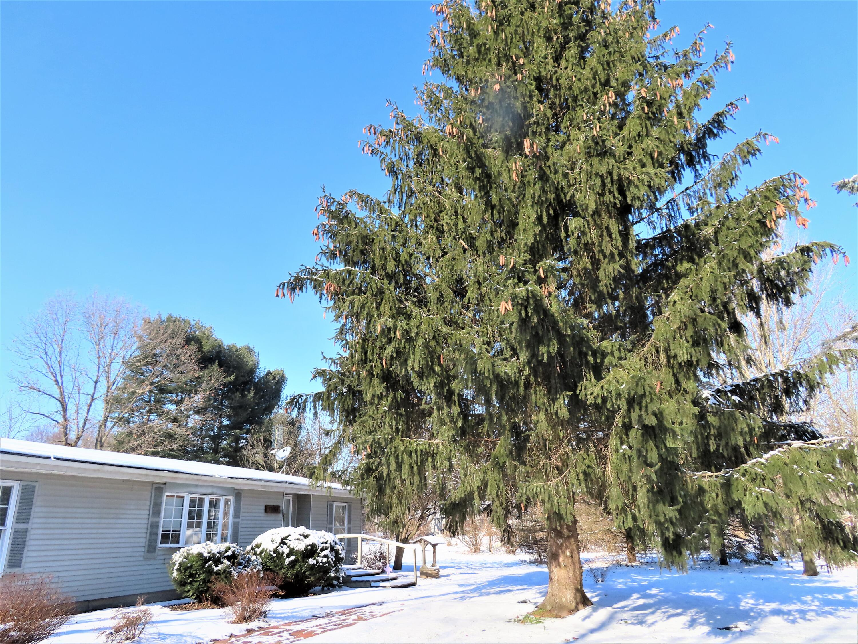 70054 Sherman Road Edwardsburg, MI 49112 - Photo 20 of 20 IMG_0111 (2)