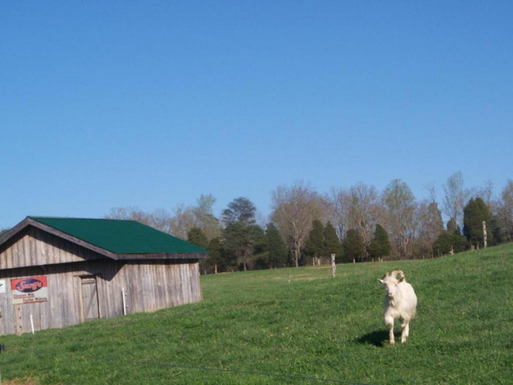 171 Speedwell Road Rogersville, TN 37857 - Photo 3 of 23 Photo 3