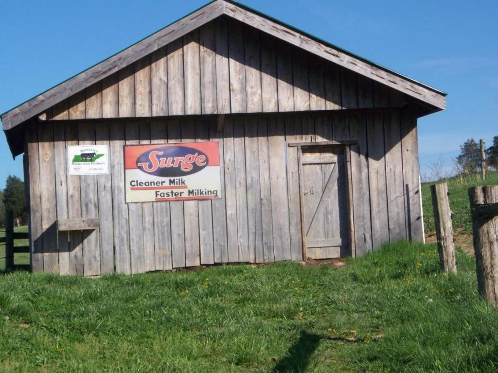 171 Speedwell Road Rogersville, TN 37857 - Photo 4 of 23 Photo 4