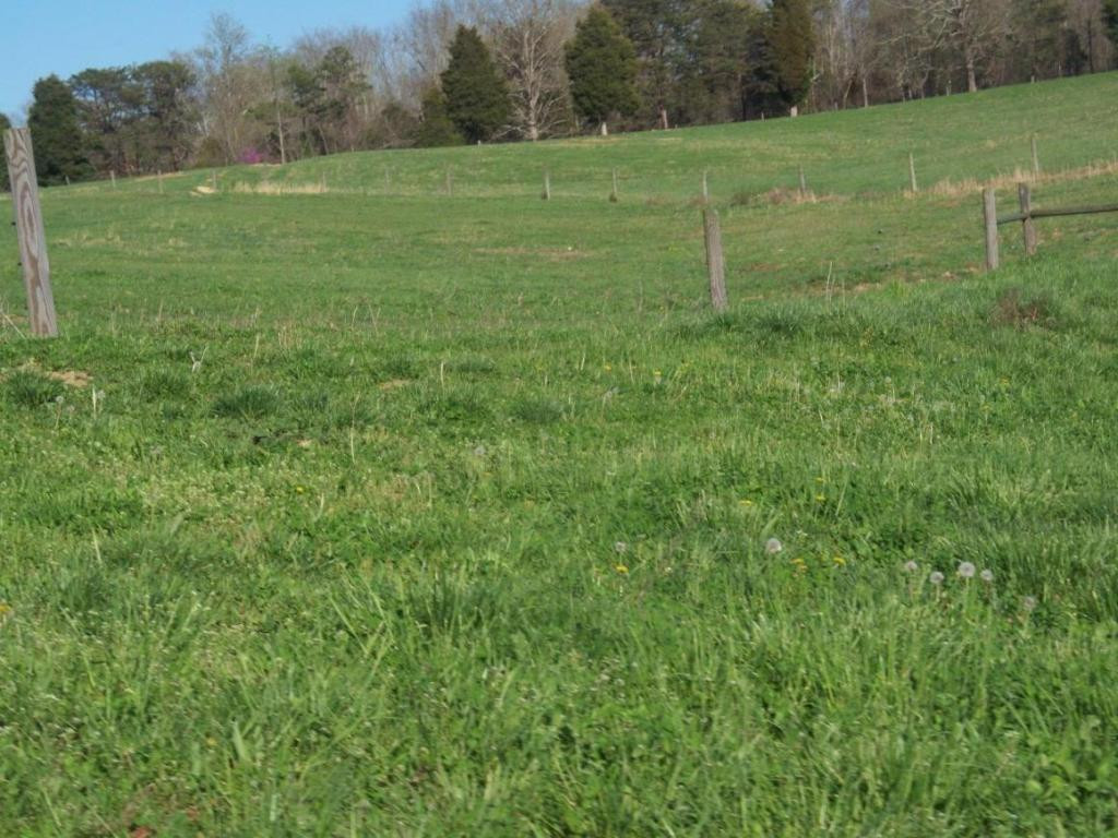 171 Speedwell Road Rogersville, TN 37857 - Photo 5 of 23 Photo 5