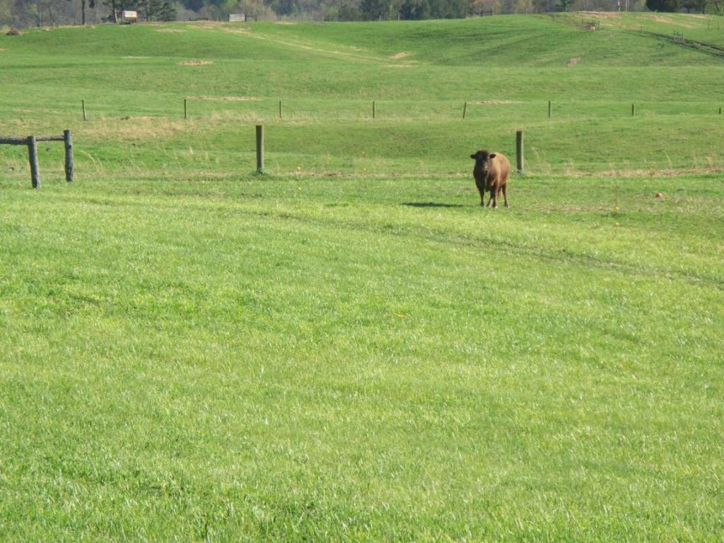 171 Speedwell Road Rogersville, TN 37857 - Photo 8 of 23 Photo 8