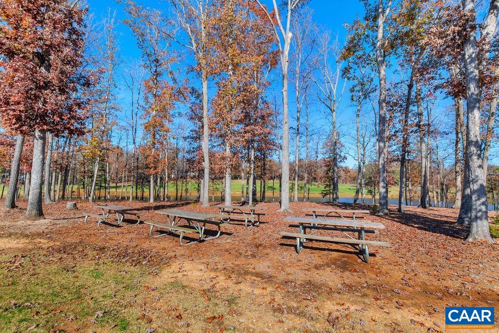 30 Brougham Road Palmyra, VA 22963 - Photo 53 of 57 a row of palm trees in a park with large trees