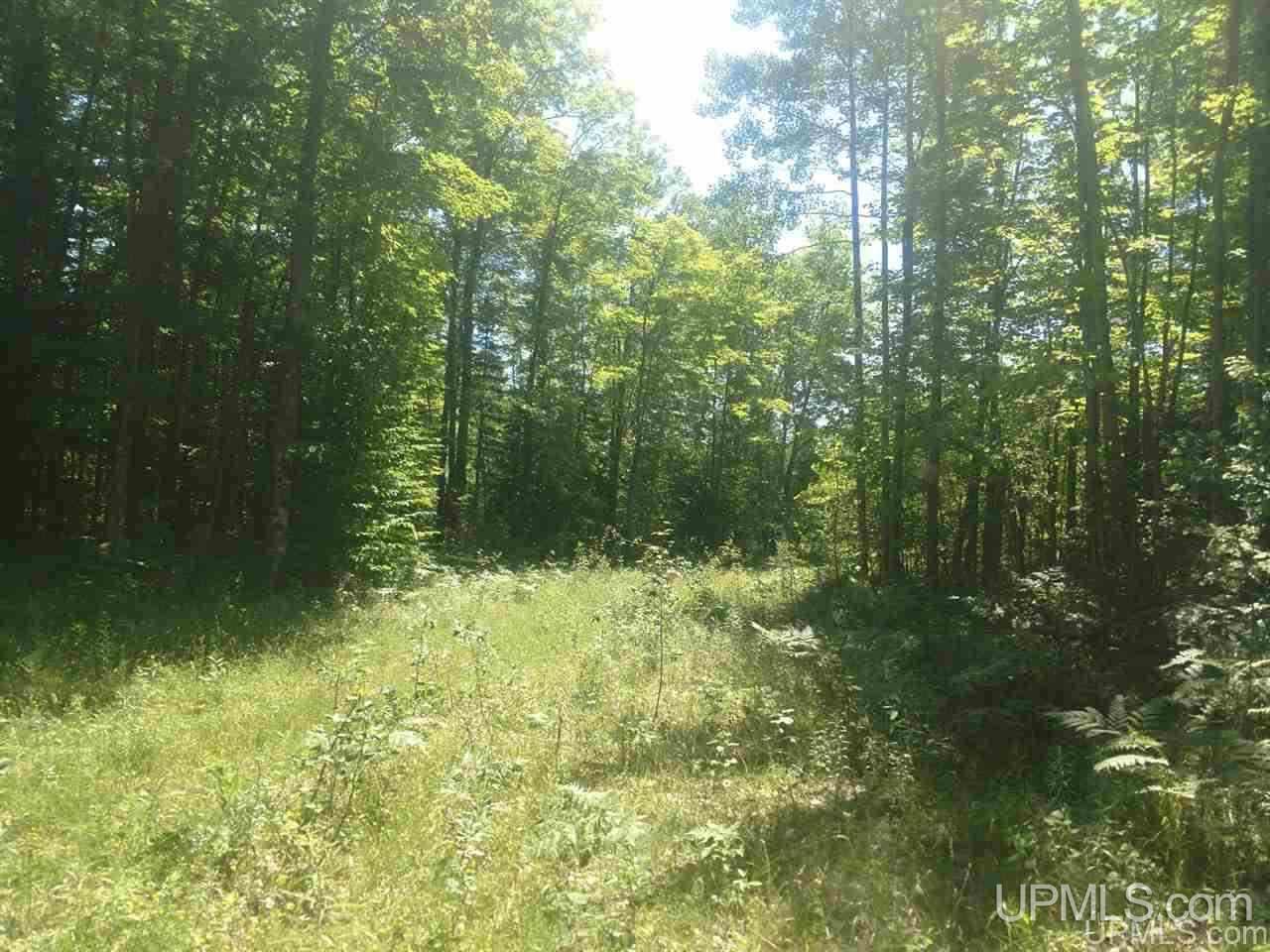 Tbd Karschney Road South Lanse, MI 49946 - Photo 9 of 11