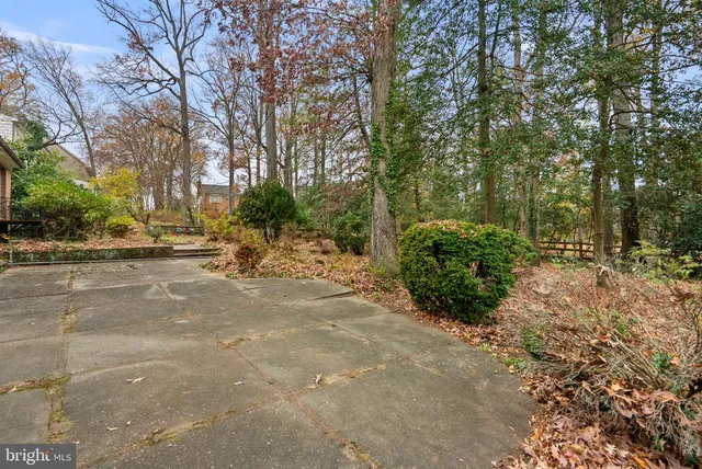 a view of backyard with tree