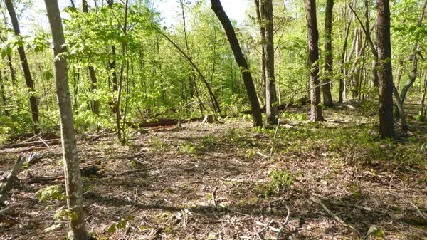 $24,950 | Tract 9 Dusty Lane, Martinsville, VA 24112