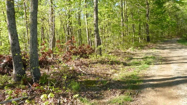 $24,950 | Tract 9 Dusty Lane, Martinsville, VA 24112