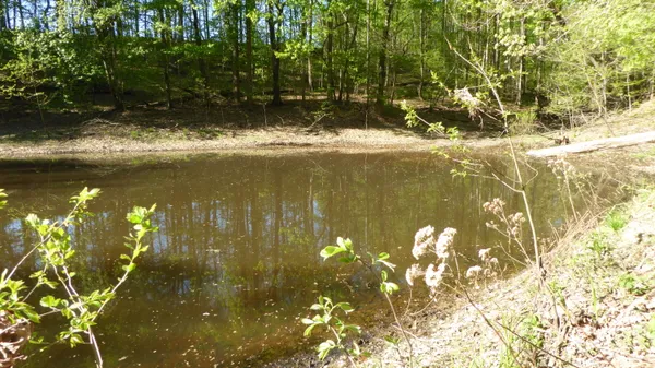 $24,950 | Tract 9 Dusty Lane, Martinsville, VA 24112