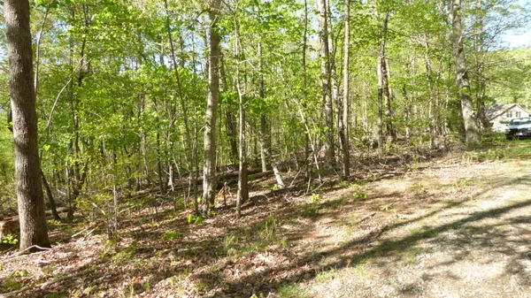 $24,950 | Tract 9 Dusty Lane, Martinsville, VA 24112