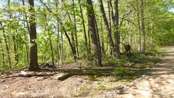 $24,950 | Tract 9 Dusty Lane, Martinsville, VA 24112