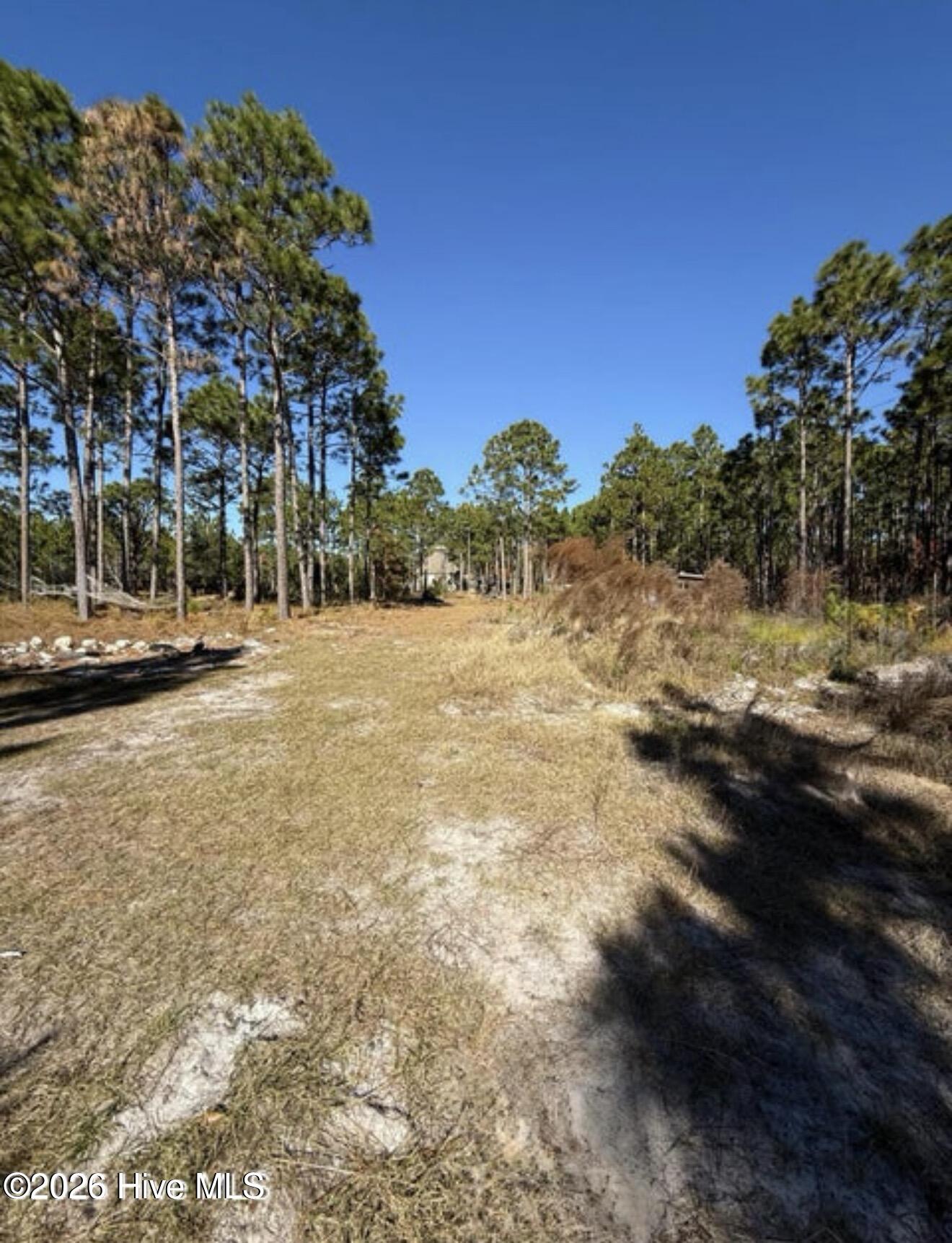 531 Eagle Road Newport, NC 28570 - Photo 5 of 14 Long Driveway