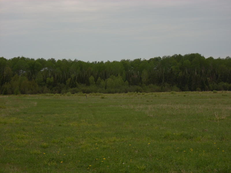 83 1 Mile Road Pickford, MI 49774 - Photo 10 of 15 Gallery Image 10