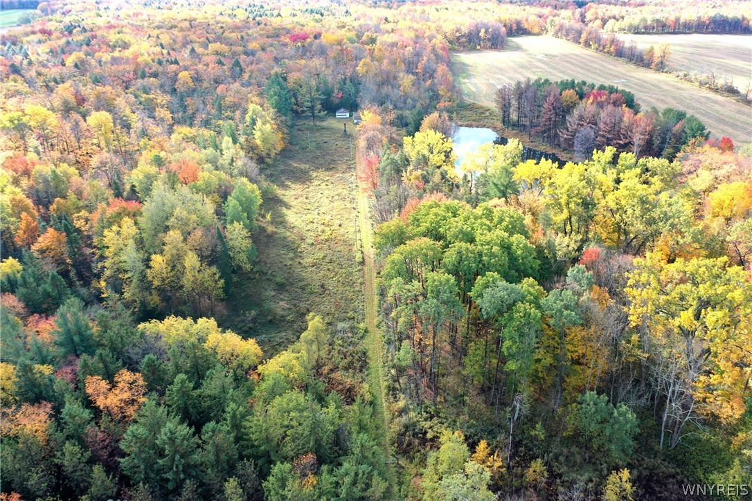 4579 Shirley Road North Collins, NY 14111 - Photo 1 of 1 Gallery Image 1