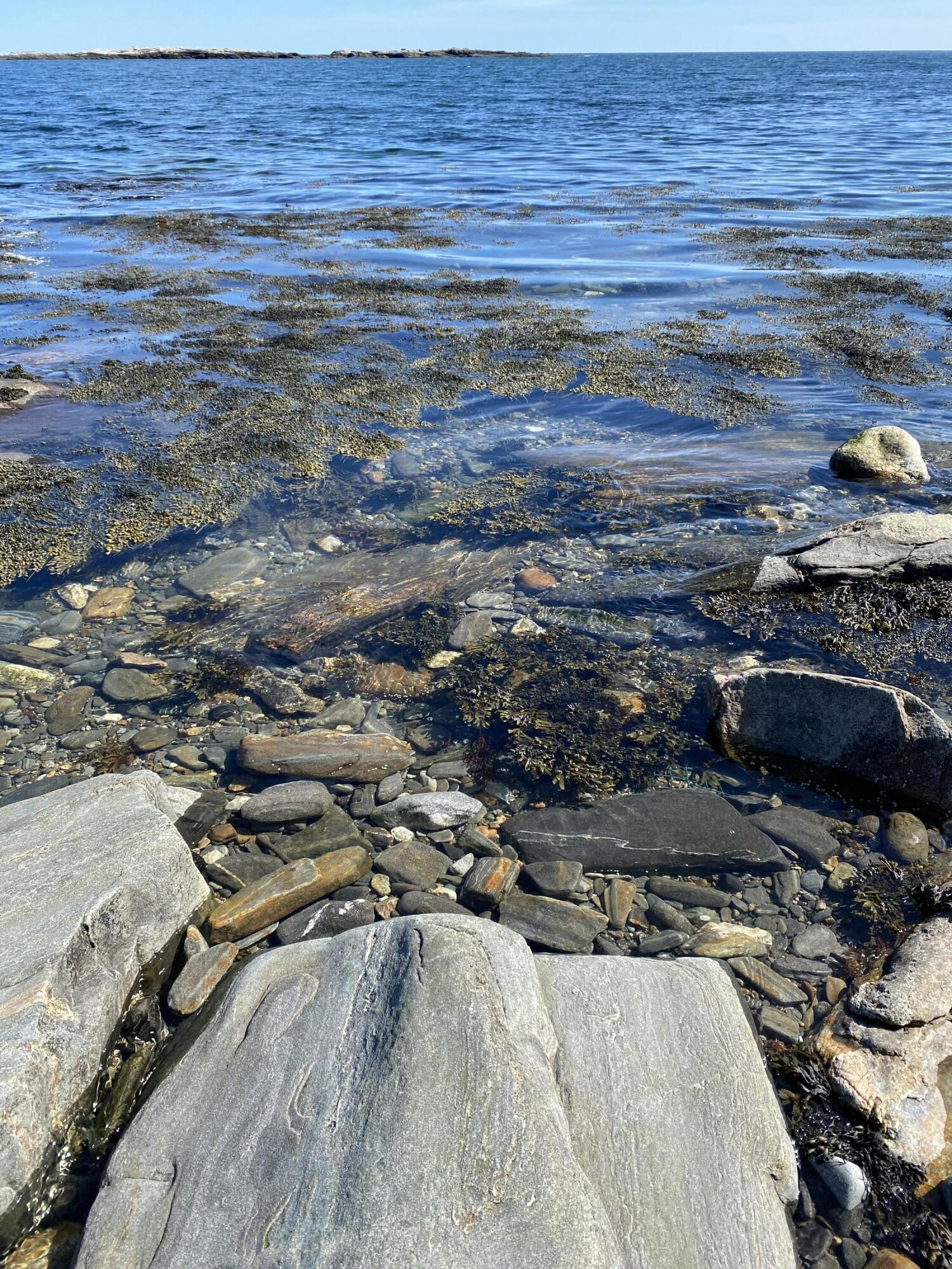 345 Highway 32 Chamberlain, ME 04541 - Photo 40 of 40 rocky beach 1