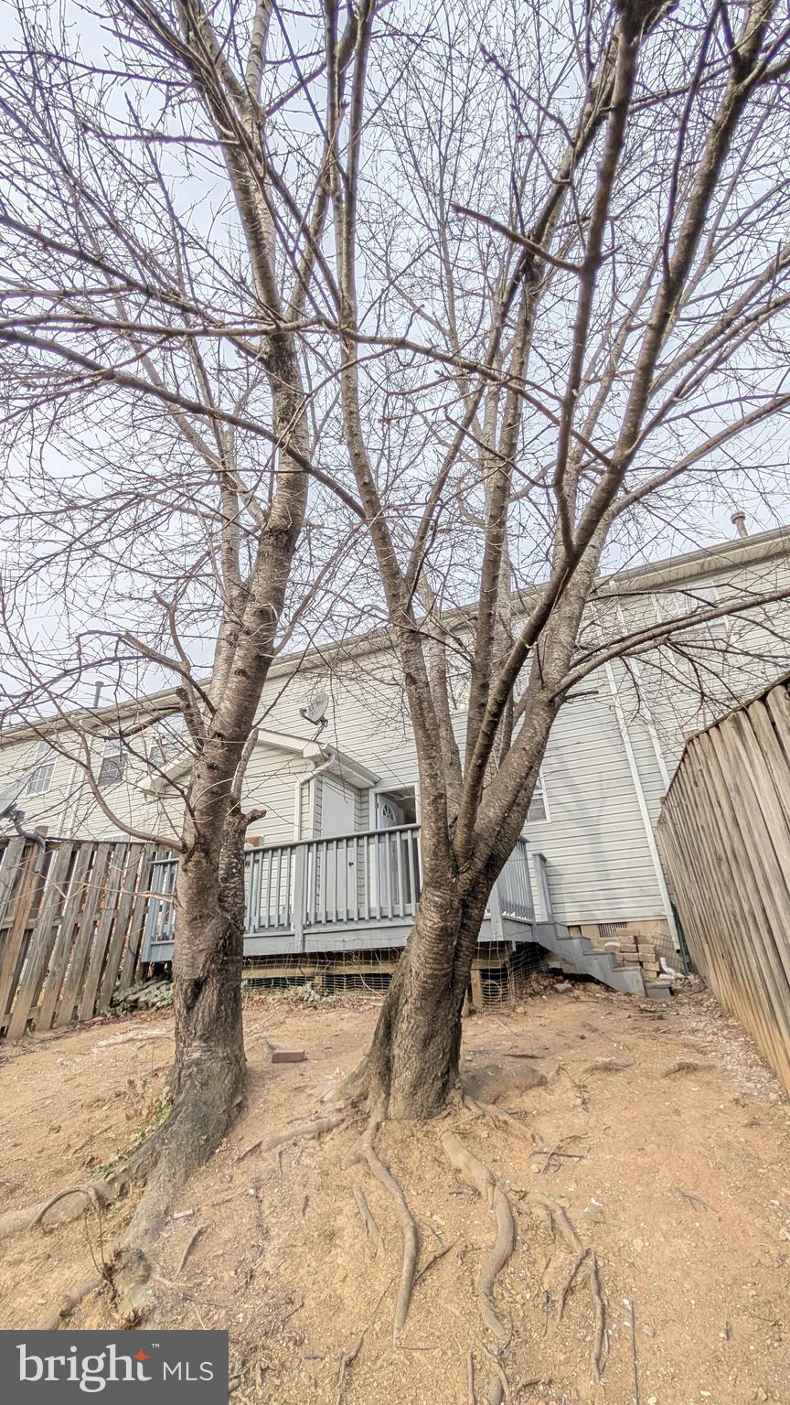 354 Valley Mill Road Winchester, VA 22602 - Photo 23 of 34 a white house that has a tree in front of it