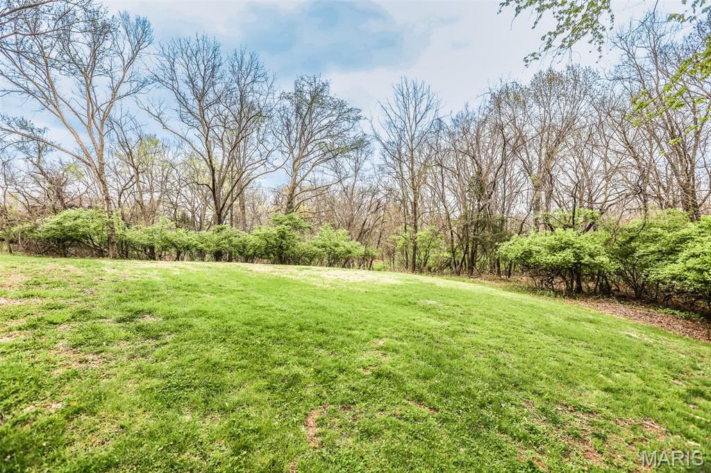 1350 Hillsboro Road High Ridge, MO 63049 - Photo 8 of 22