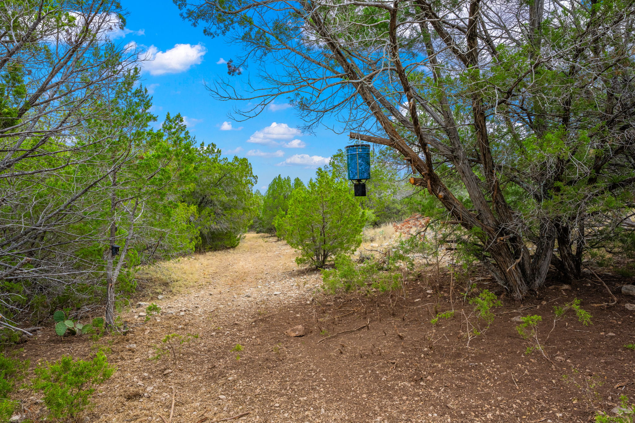 13812 High Lonesome Road Comstock, TX 78837 - Photo 11 of 37
