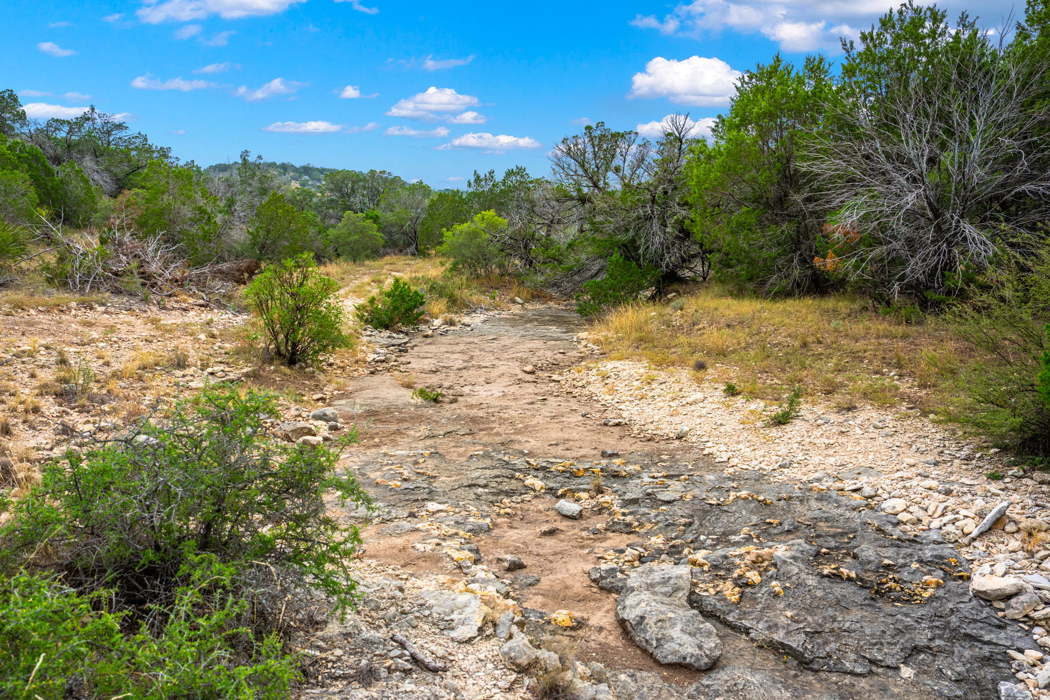 13812 High Lonesome Road Comstock, TX 78837 - Photo 13 of 37