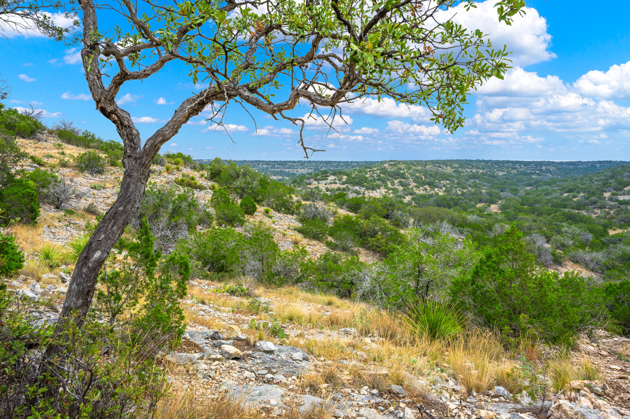 13812 High Lonesome Road Comstock, TX 78837 - Photo 16 of 37