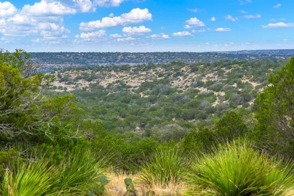 $1,250,000 | 13812 High Lonesome Road, Comstock, TX 78837