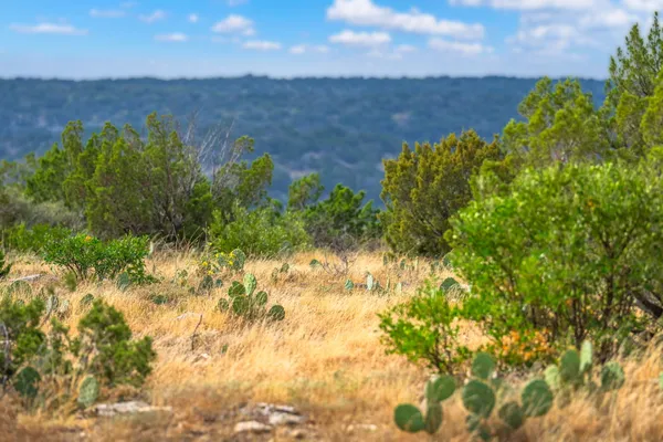 $1,350,000 | 13812 High Lonesome Road, Comstock, TX 78837