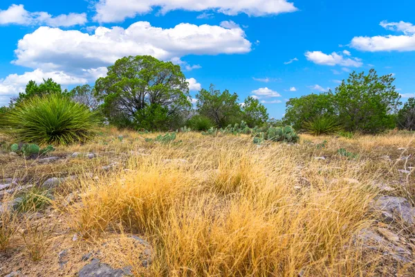 $1,350,000 | 13812 High Lonesome Road, Comstock, TX 78837