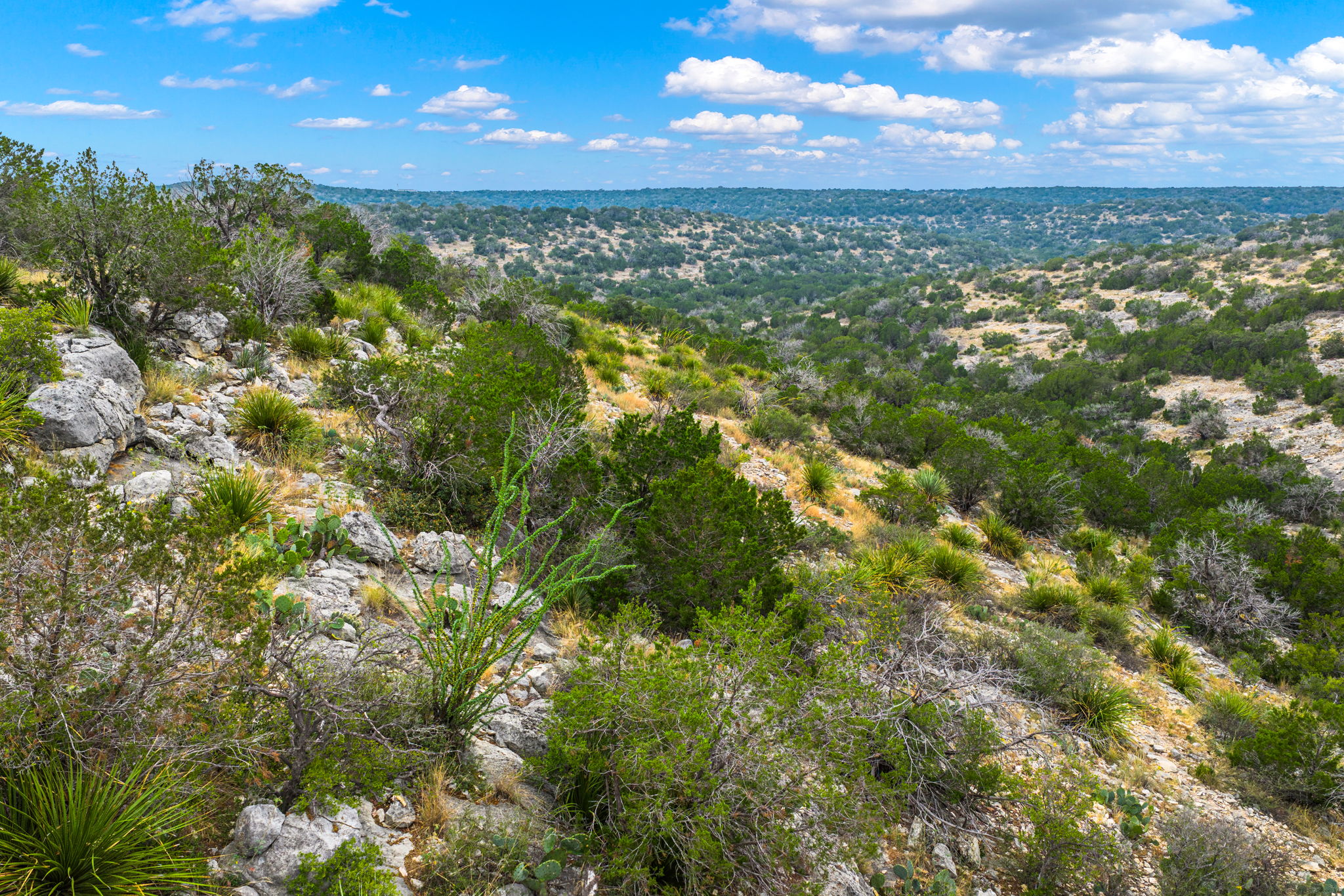 13812 High Lonesome Road Comstock, TX 78837 - Photo 8 of 37