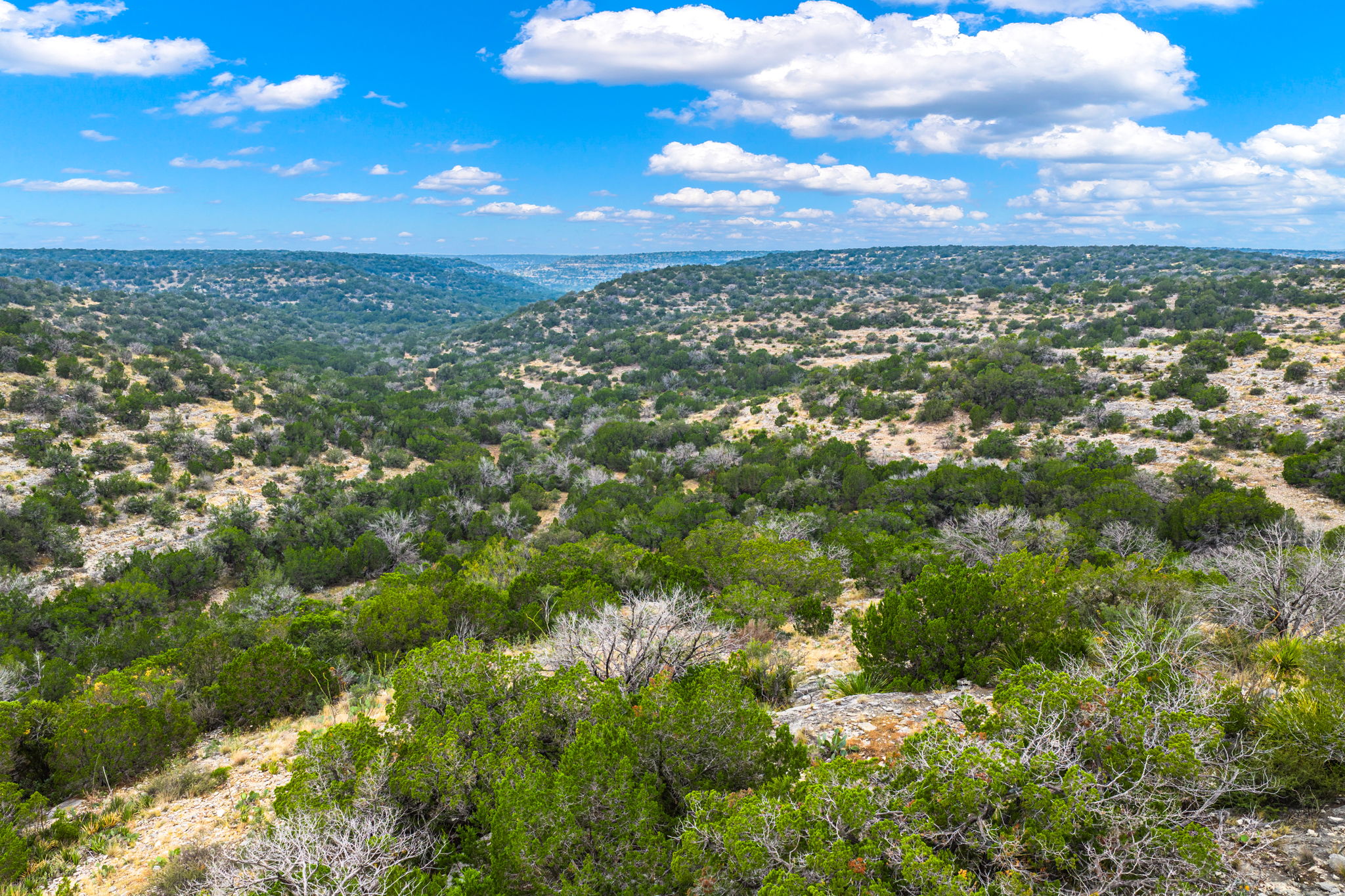 13812 High Lonesome Road Comstock, TX 78837 - Photo 9 of 37