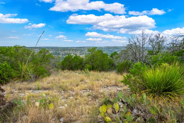 $1,350,000 | 13812 High Lonesome Road, Comstock, TX 78837